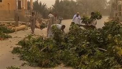 بسبب الطقس السيئ.. إصابة صغيرين شقيقين إثر انهيار جدار منزل عليهما في قنا