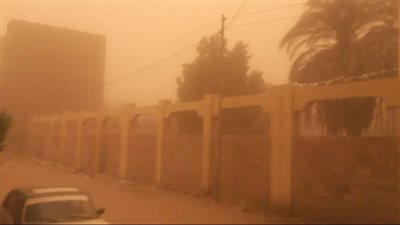 عاصفة ترابية تغطي سماء أسوان.. وسقوط أمطار مفاجئة على بورسعيد | بث مباشر