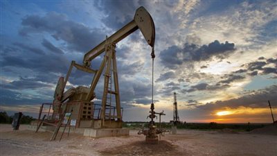 اكتشاف نفطي جديد في مصر بواسطة شركة كندية | بث مباشر