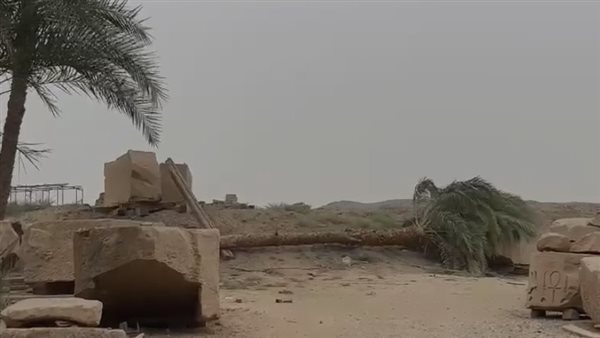سقوط نخلتين بالأقصر
