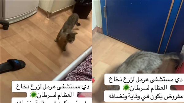 مستشفى هرمل لزرع