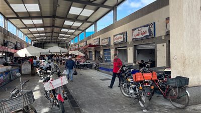 الغرفة التجارية ببورسعيد تطالب منسق حملة مقاطعة الأسماك بإنهائها.. وتعد بتخفيض الأسعار خلال أسبوع | خاص