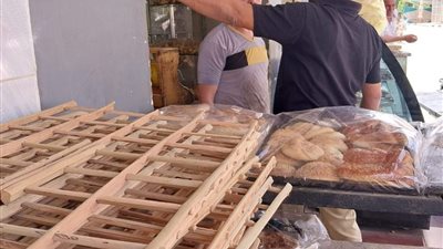 تحرير محاضر لـ مخابز سياحية مخالفة في الوادي الجديد | صور