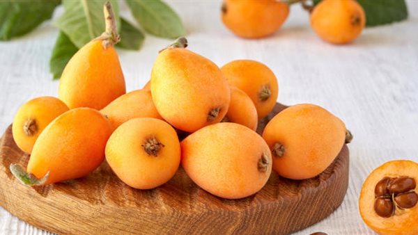 فوائد البشملة 