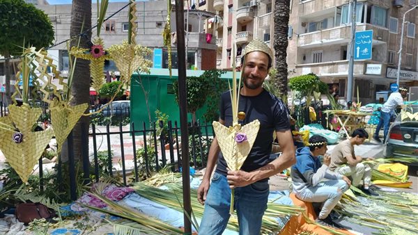 بائع سعف بشوارع الإسكندرية