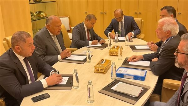 وزير الخارجية وممثل