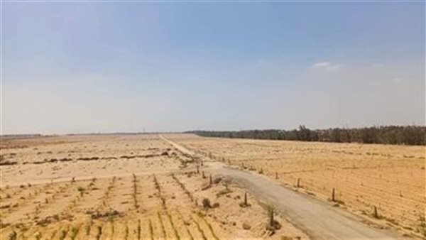 اراضي بالمزاد 