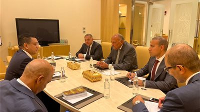 سامح شكري يلتقي وزير خارجية سريلانكا على هامش المنتدى الاقتصادي العالمي بالرياض