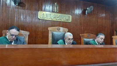 مفاجأة في تقرير السلامة العقلية للمتهم بقتل جارته داخل أتوبيس بطنطا بسبب علبة حلاوة