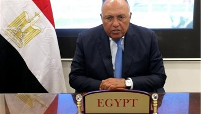 وزير الخارجية يشارك في جلسة نقاشية حول الأوضاع الجيوسياسية في الشرق الأوسط