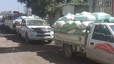 إقبال كبير من المزارعين على توريد القمح في صوامع البحيرة | بث مباشر