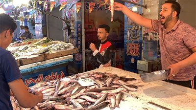 البلطي بـ 85 جنيهًا.. تعرف على أسعار الأسماك اليوم الأربعاء 30 أكتوبر 2024