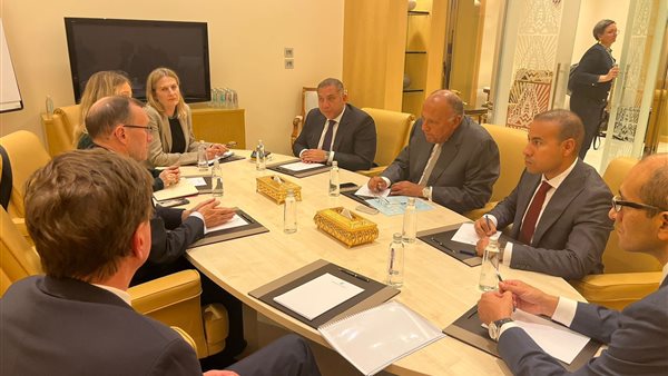 سامح شكري يلتقي وزير