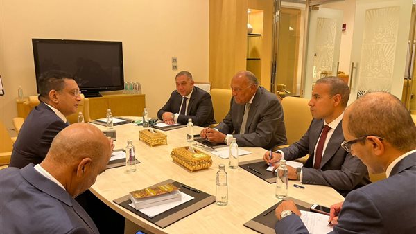 سامح شكري يلتقي وزير