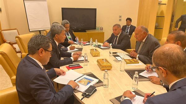 وزير الخارجية يلتقى