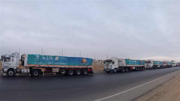 قافلات دعم غزة 