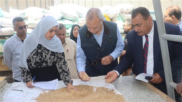 محافظ القليوبية 