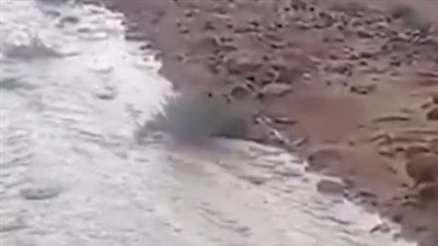 أمطار وسيول في سانت كاترين.. تقلبات جوية مفاجئة والمحافظة ترفع حالة الطوارئ| بث مباشر 