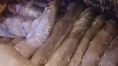 قبل شم النسيم بأسبوع.. أسعار الفسيخ والأسماك المملحة في الأسواق | بث مباشر