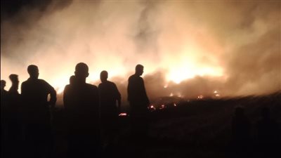 حريق يلتهم 4 أفدنة قمح في قرية بأسيوط