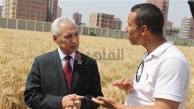 بعد 120 يومًا فقط.. رئيس جامعة المنيا يفتتح موسم حصاد الذهب الأصفر القمح بالمركز الزراعي