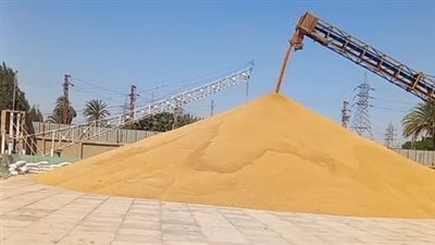 وزير التموين: جاهزون لاستلام أكبر كميات ممكنة من القمح.. ومستوى التوريد أعلى من العام الماضي