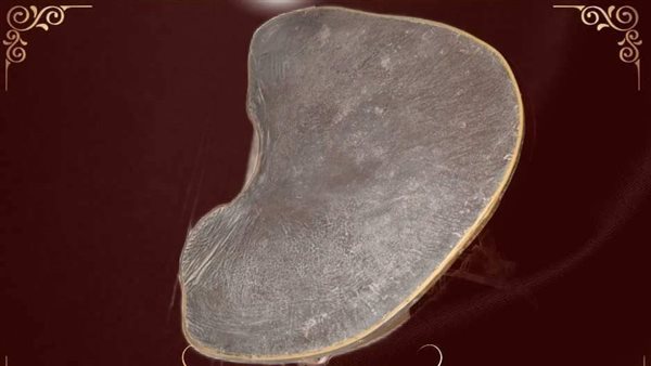 ترابيزة من أذن الفيل