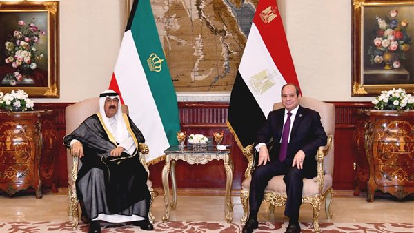 السيسي وأمير دولة