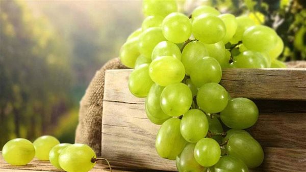 عنب - أرشيفية