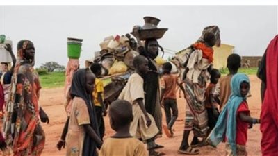 الحرب المنسية.. المجاعة تعصف بالسودان وورق الشجر وسيلة المواطنين للتغلب على الجوع 