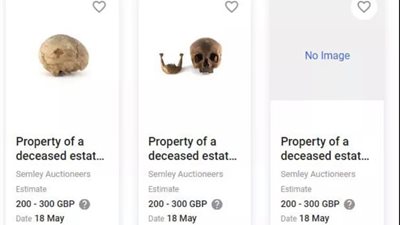 بعد طرح الرأس بـ300 جنيه إسترليني.. دار مزادات دورست البريطانية تتراجع عن بيع جماجم المصريين القدماء