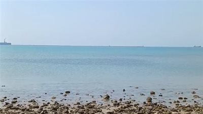 بدء تطبيق قرار منع بيع وتداول أسماك البحر الأحمر في مطاعم ومحلات الغردقة| بث مباشر 