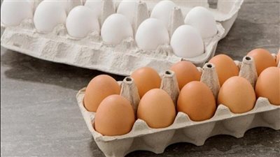 لفوائده الصحية.. تعرف على كيفية تضمين البيض في النظام الغذائي