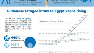 مفوضية اللاجئين تسجل أكثر من 21 ألف طلب لجوء إلى مصر في أقل من إسبوعين