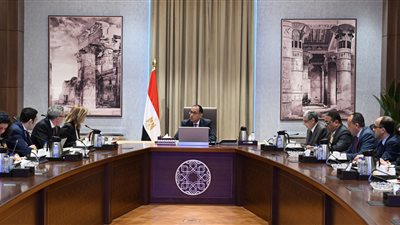 سكاتك النرويجية تستعرض 5 مشروعات مهمة تدرس تنفيذها في مصر خلال المرحلة المقبلة