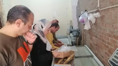 قبل شم النسيم.. ضبط 40 كجم أسماك غير صالحة للاستهلاك الآدمي بكفر الشيخ