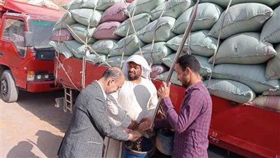 صوامع وشون المنيا تستقبل 78 ألف طن قمح