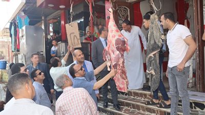 مصادر: بدء طرح اللحوم البلدي الطازجة بـ250 جنيهًا بمعارض أهلا مدارس بالمحافظات