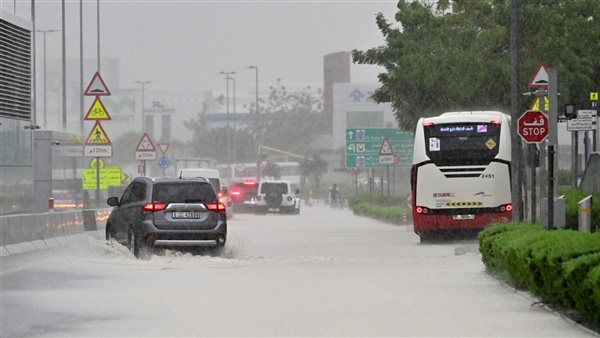 سيول في الإمارات