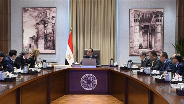 رئيس الوزراء يلتقي