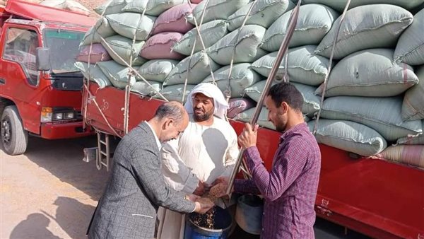 توريد محصول القمح