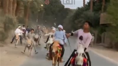 أغرب سباقات العالم.. شباب قرية بالفيوم يقطعون 15 كيلو مترًا على ظهر الحمير | صور