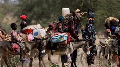 الهجرة الدولية: مليونا سوداني لجأوا للخارج معظمهم في مصر وتشاد وجنوب السودان