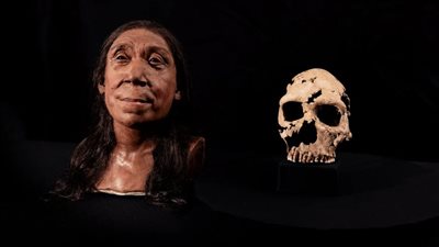منذ 75 ألف سنة.. إعادة بناء جمجمة امرأة عثر على بقاياها في العراق