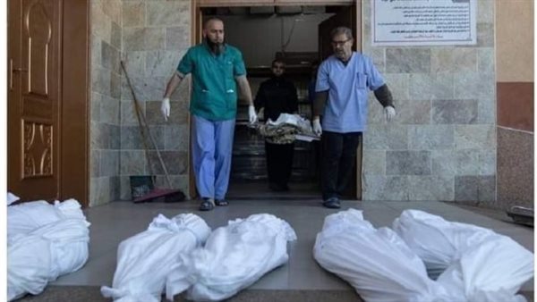 الحرب على غزة 