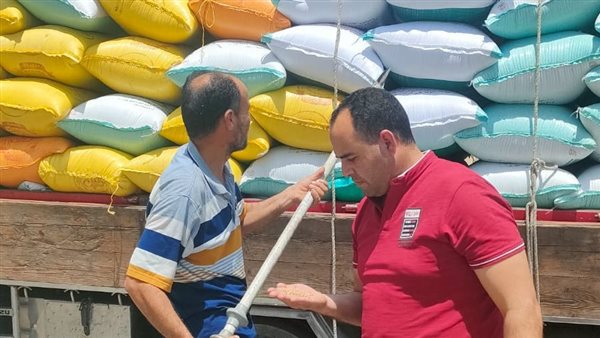 توريد محصول القمح