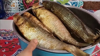 4 طرق تنظيف الفسيخ بسهولة وبدون رائحة.. مش هتاخد وقت