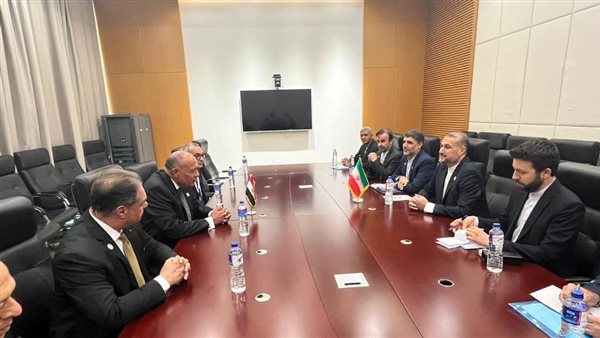 لقاء شكري مع وزير