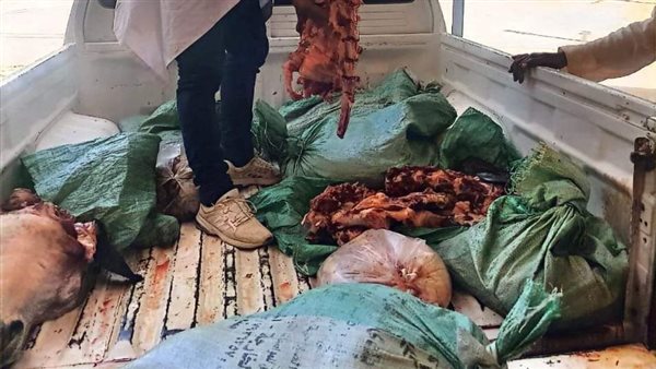 مضبوطات اللحوم