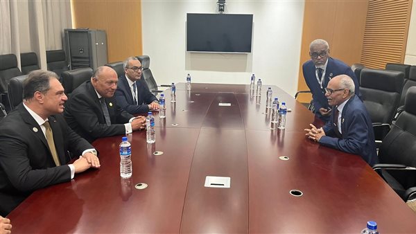  شكري يلتقي وزير